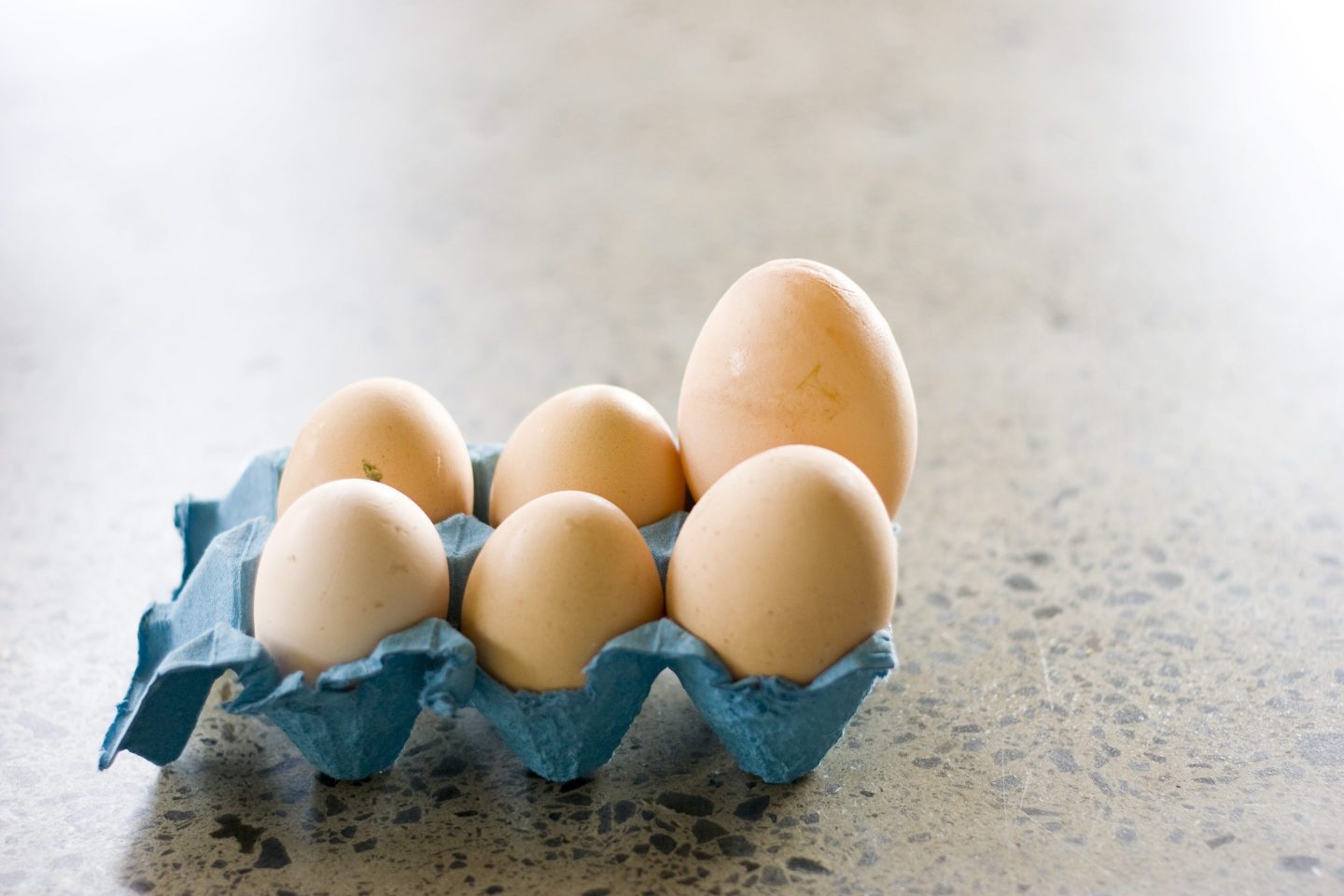 Exports of poultry products worth about $112 million a year will cease until New Zealand can once again attest to being free of bird flu.