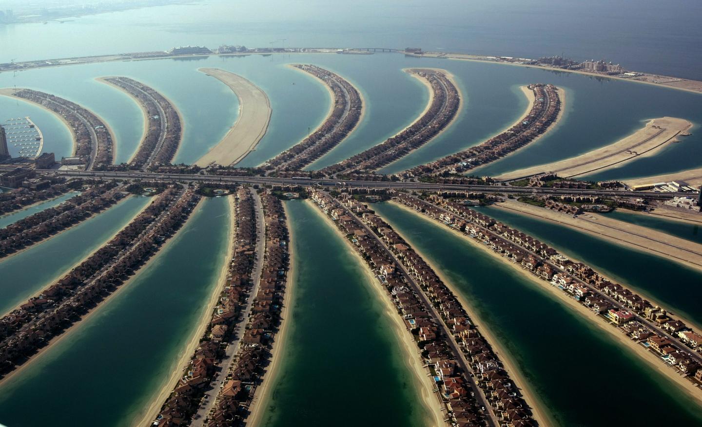Billionaires plan to invest in three areas in 2025 to get even richer
