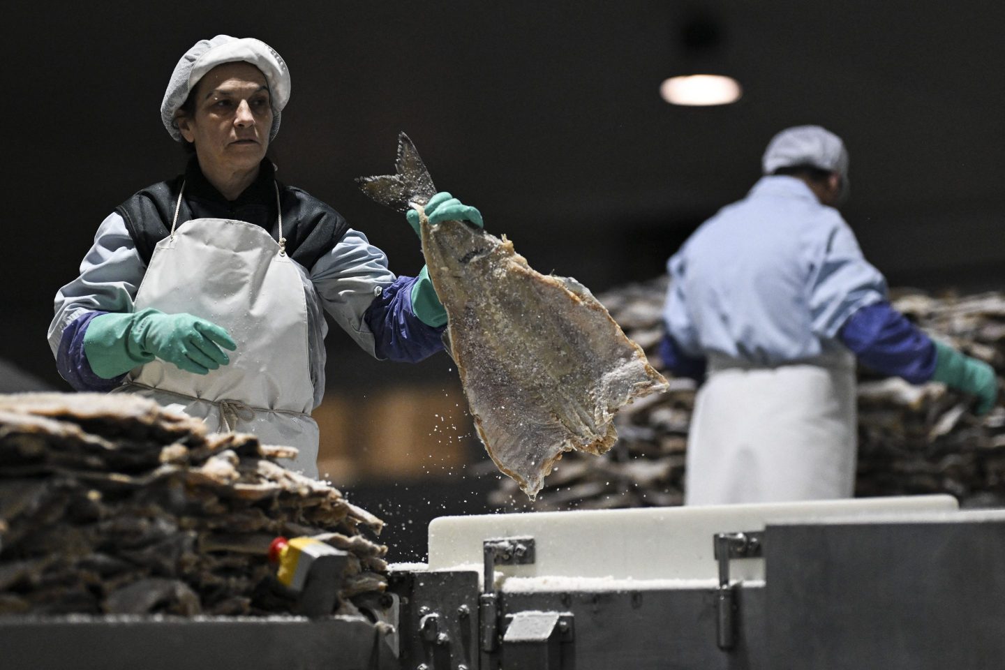 Portugal accounts for almost 20 percent of the world's consumption of this fish, which is caught mainly in Iceland and Norway.
