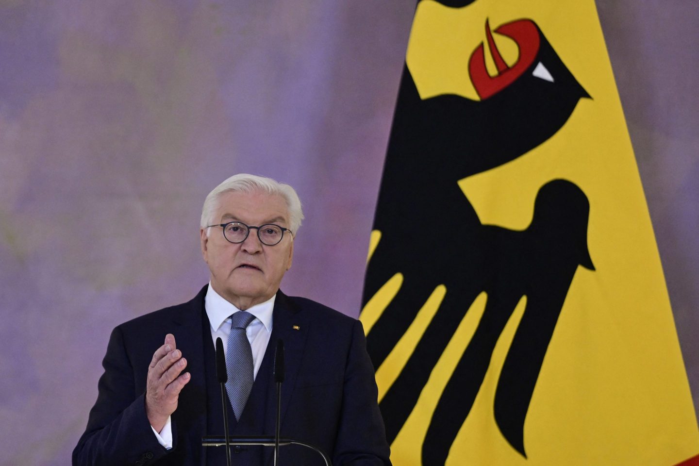 German President Frank-Walter Steinmeier announces his decision to dissolve the parliament.