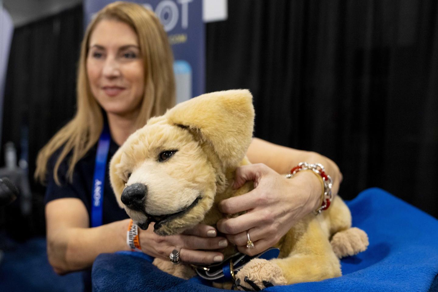 Tombot, a robotic dog