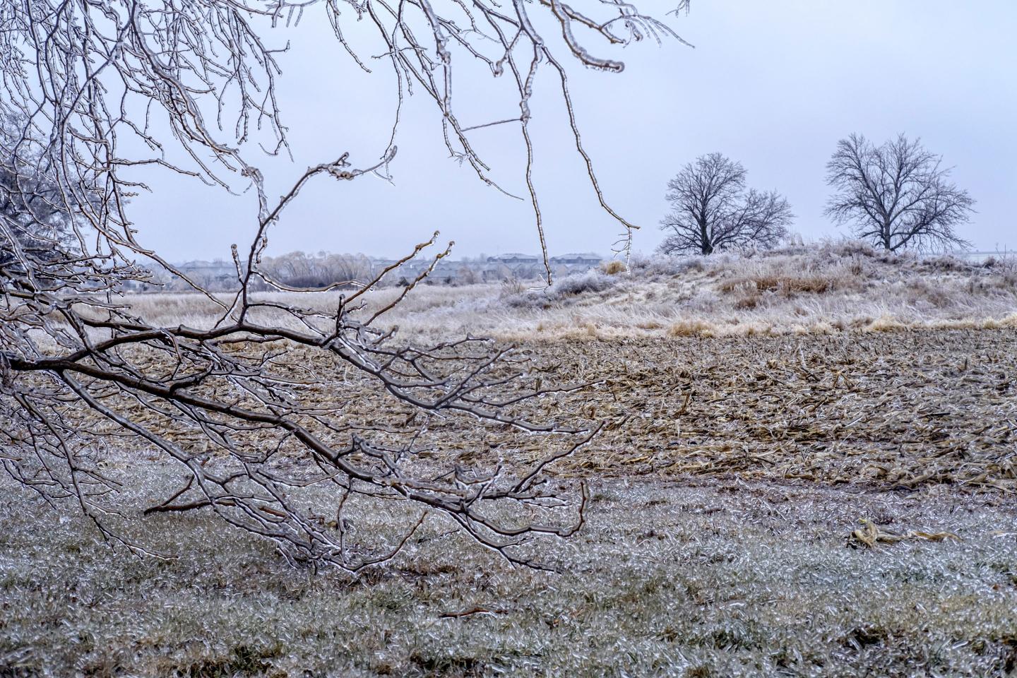 A dreary photo of farmland in winter