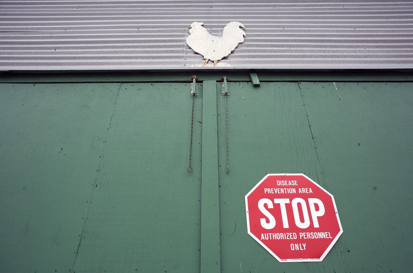 Signs mark zones around a Perdue poultry grower in Virginia's Delmarva Peninsula, on May 11, 2006.