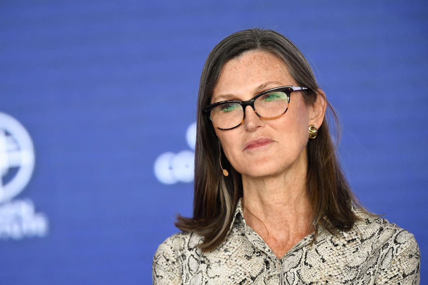 Cathie Wood says she won’t buy the Trump memecoin because it ‘isn’t going to have any utility’