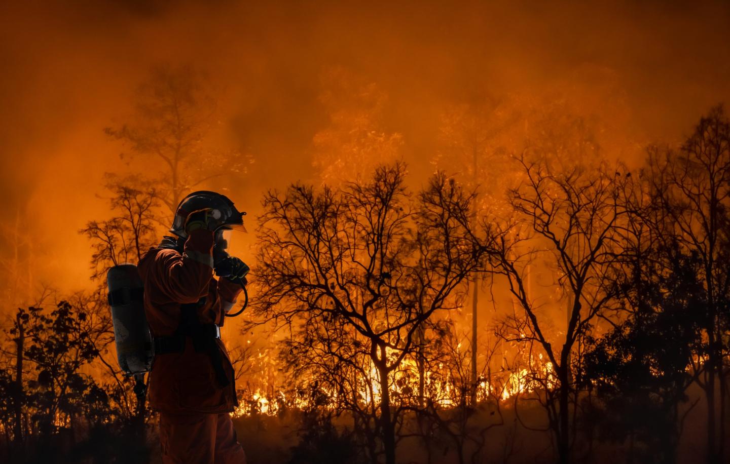 Climate catastrophes cost the world $320 billion last year. ‘Our planet’s weather machine is shifting to a higher gear’ says world’s largest reinsurer