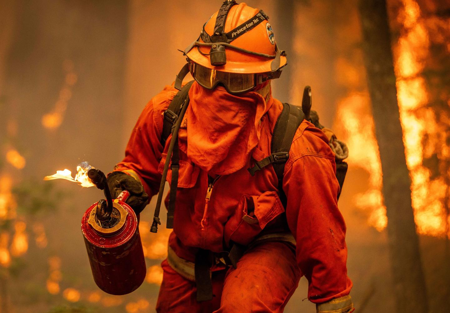 An inmate firefighter uses a drip torch to help contain a wildfire