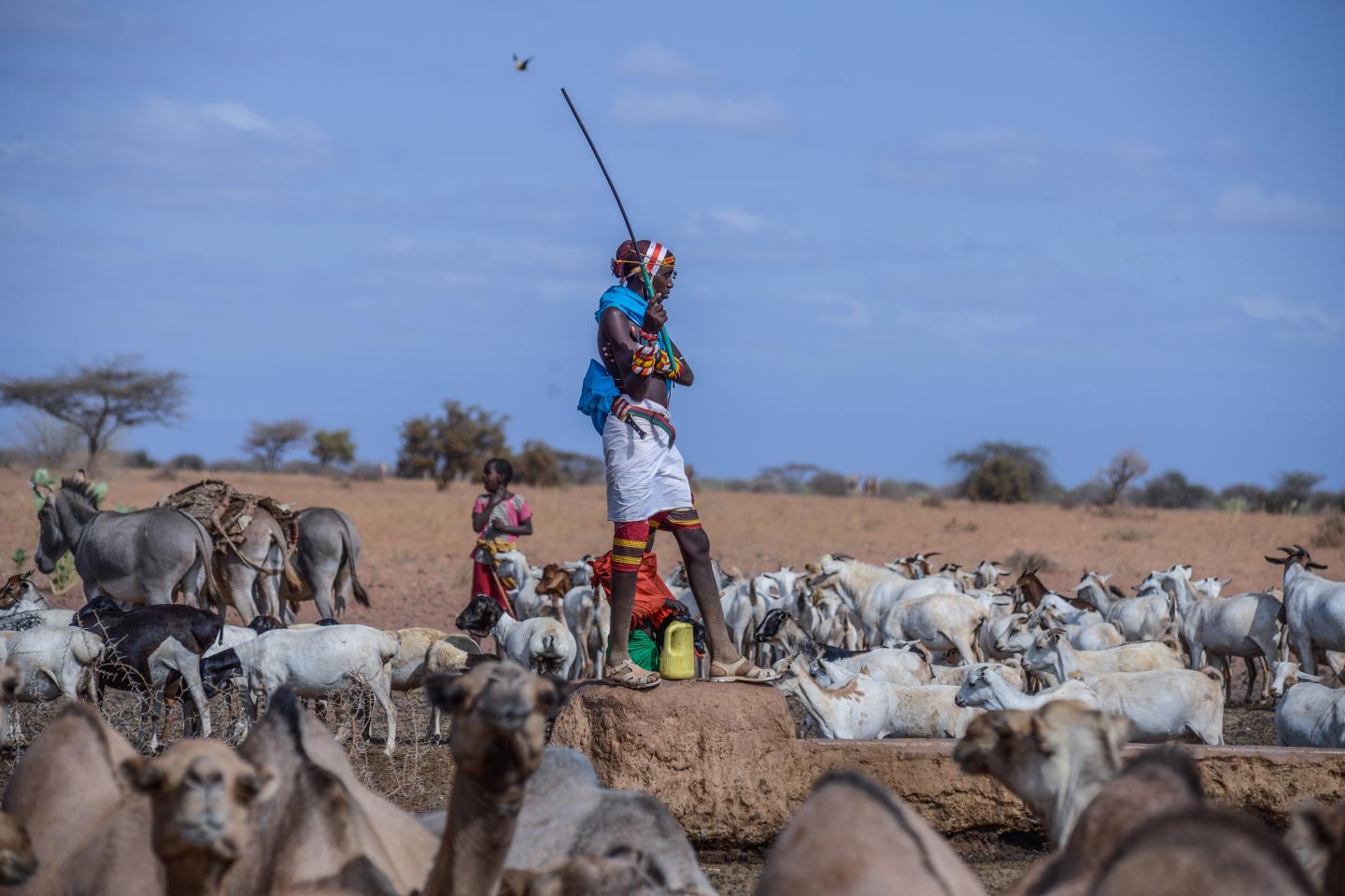 Creating inclusive financial futures: How crypto empowers communities