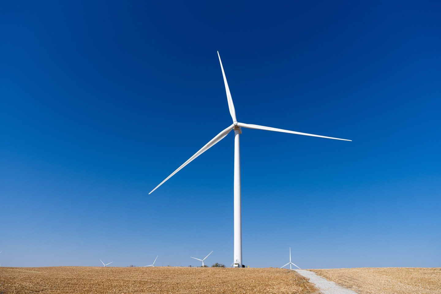 Tapping wind energy in Iowa.