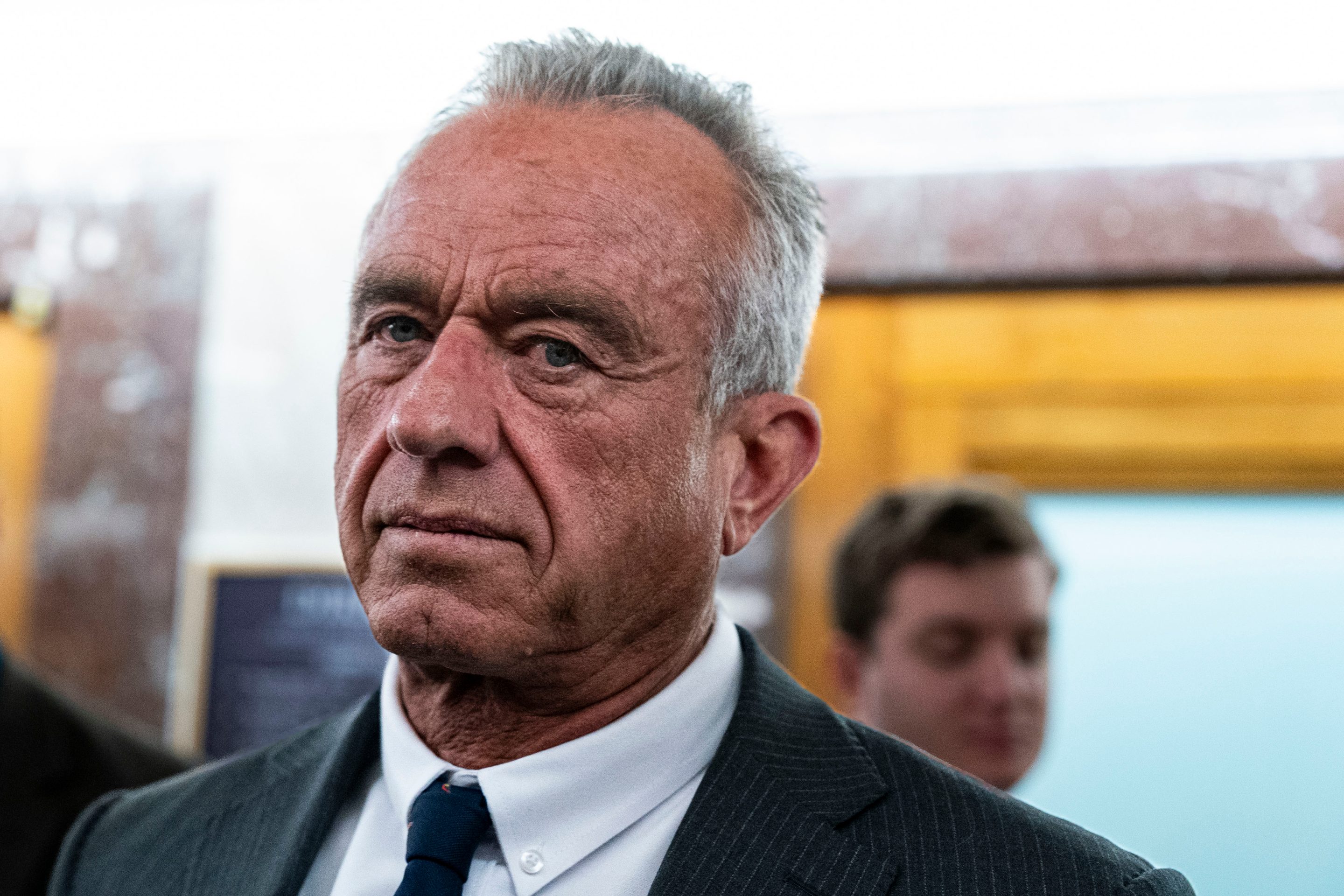 Sagoma In Cartone Grandezza Naturale Robert F Kennedy Jr (Abito Grigio) | Ritaglio Celebrity Per Feste E Scherzi, 190 Cm