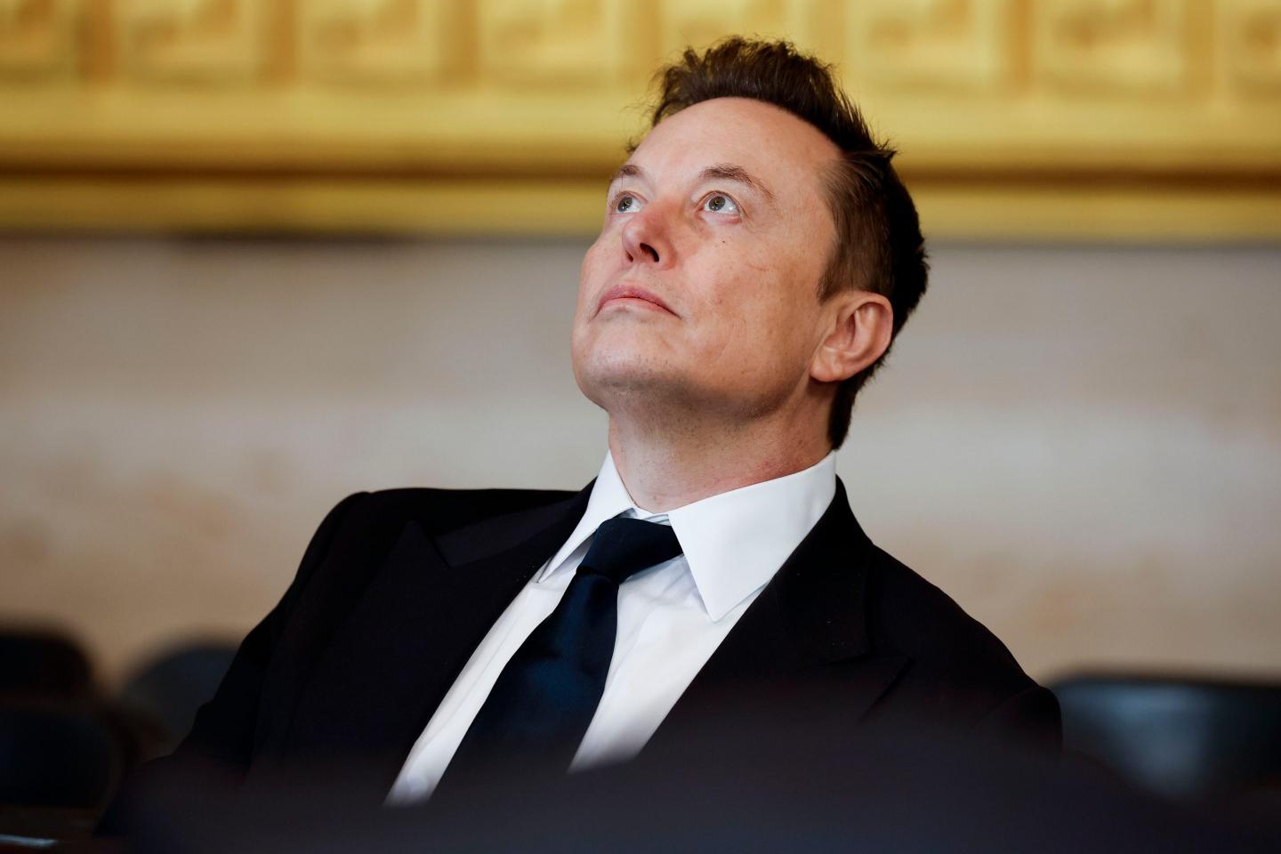 Elon Musk tells far-right AfD party it is ‘the best hope for the future of Germany’ as election nears