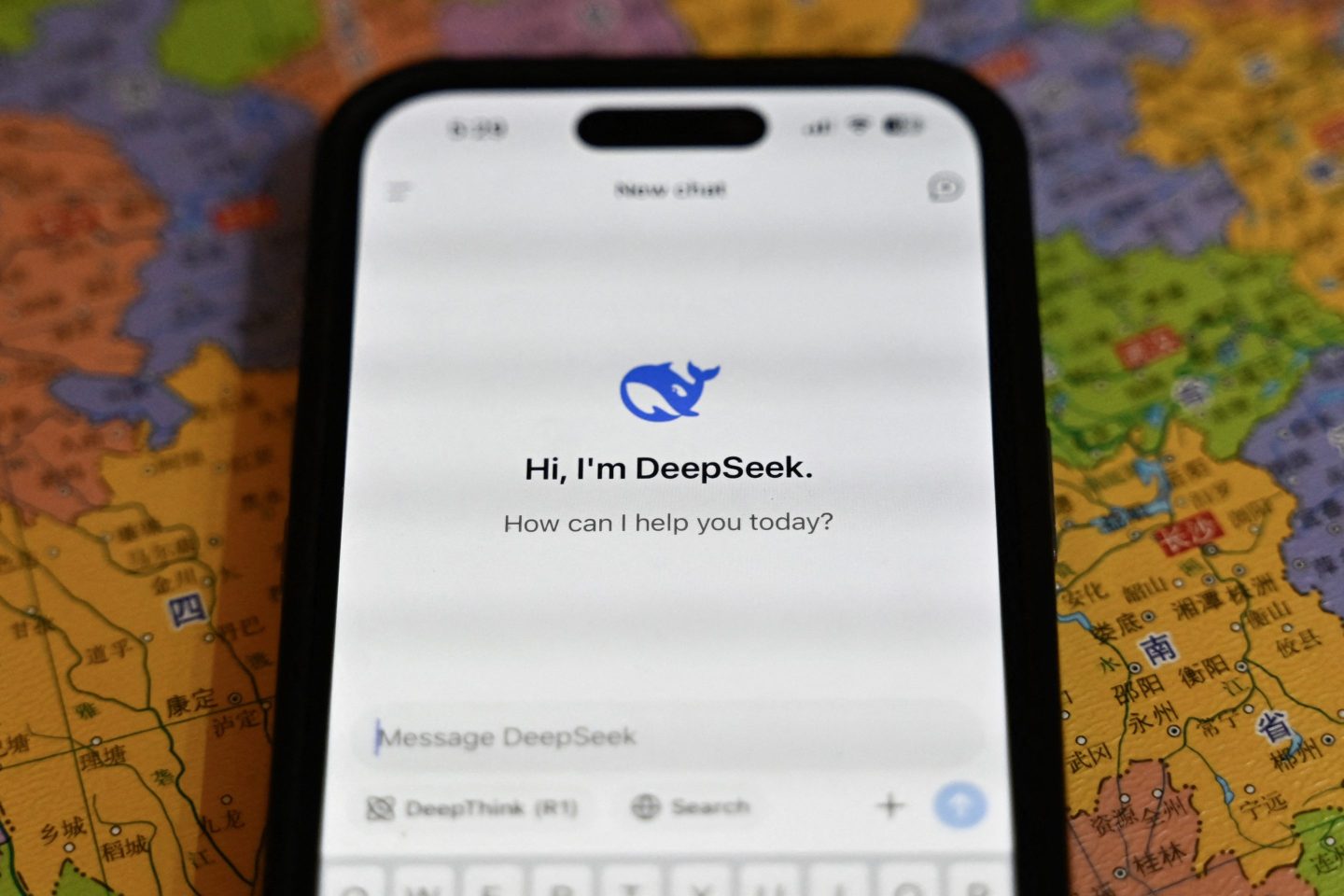 The DeepSeek app.