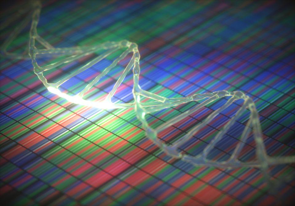 What if you could harness the power of everything that makes you biologically you—your sex, ancestry, genetic minutiae—to help accelerate drug discovery and prevent and cure diseases? The health care innovators behind the new Truveta Genome Project, billed as the world’s largest and most diverse genetic database, are hoping you will.