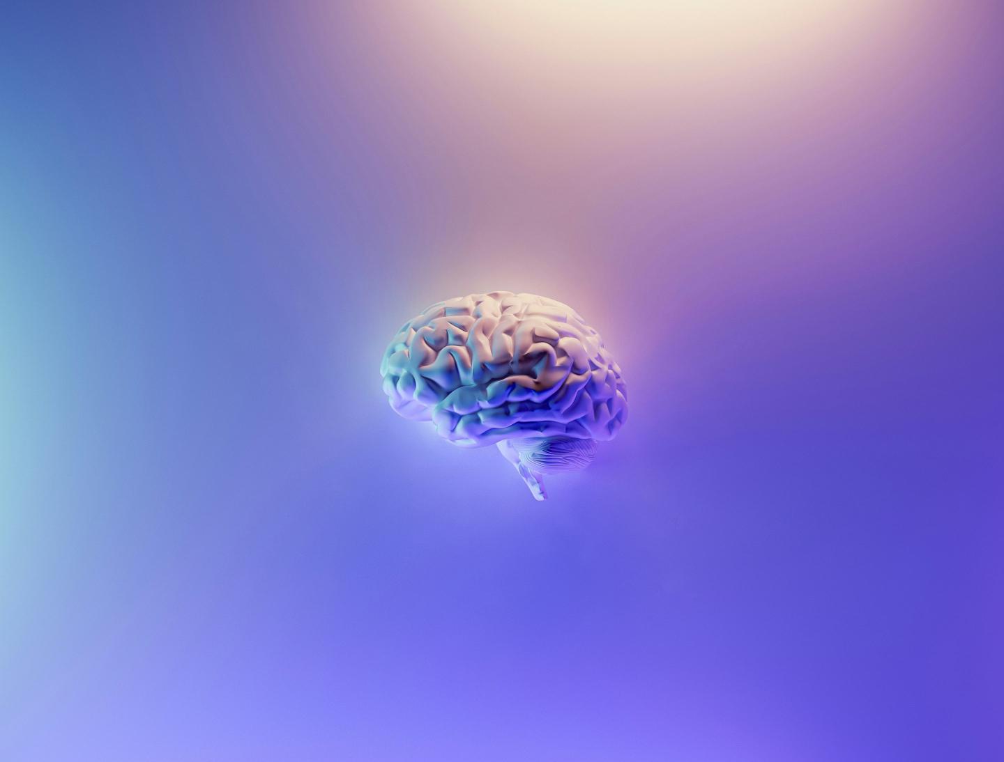 A parallel between biological and artificial neural networks has business implications.