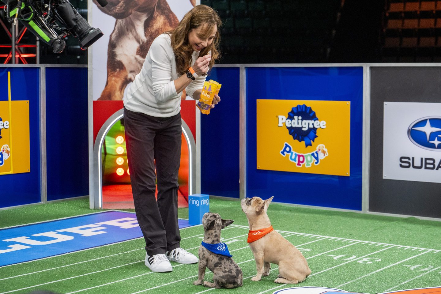 Victoria Schade holds out a treat for two puppies at the Puppy Bowl