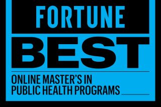 Best Online Master’s in Public Health (MPH) Programs for 2025