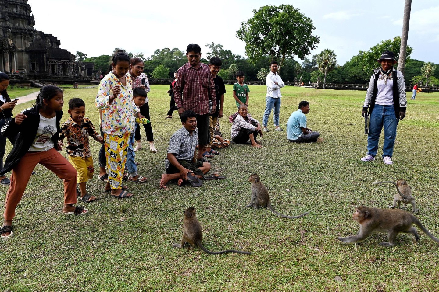 Tourists looking at macaque monkeys at the Angkor Wat temple complex, a UNESCO World Heritage Site, in Siem Reap province.