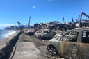 Burned cars and palm trees after wildfires hit Maui