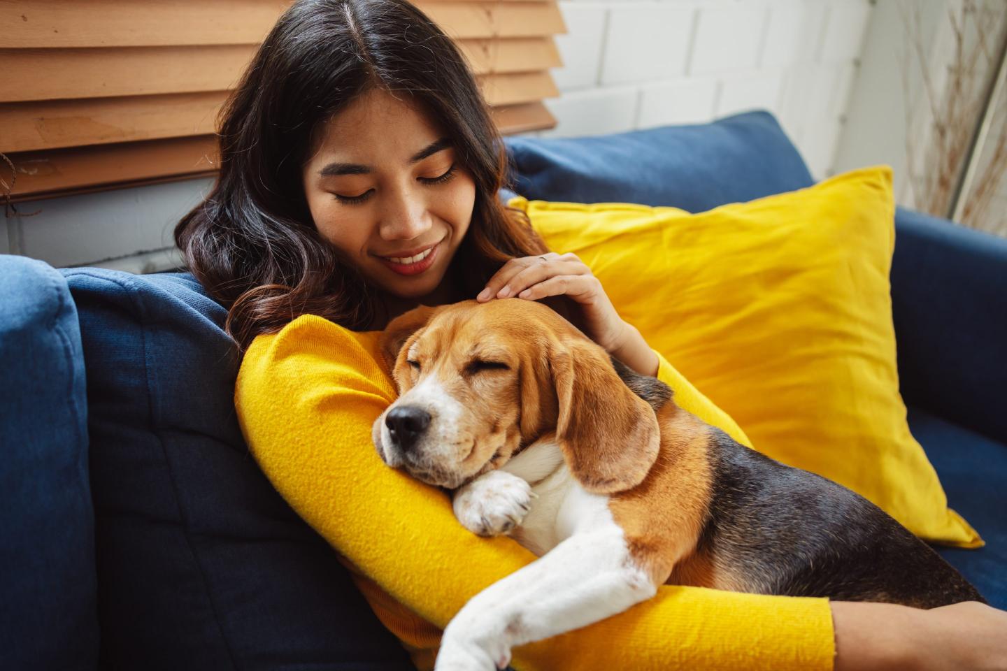 Scientists have found the perfect tactic to grab your dog’s attention. Hint: it’s all in the gaze
