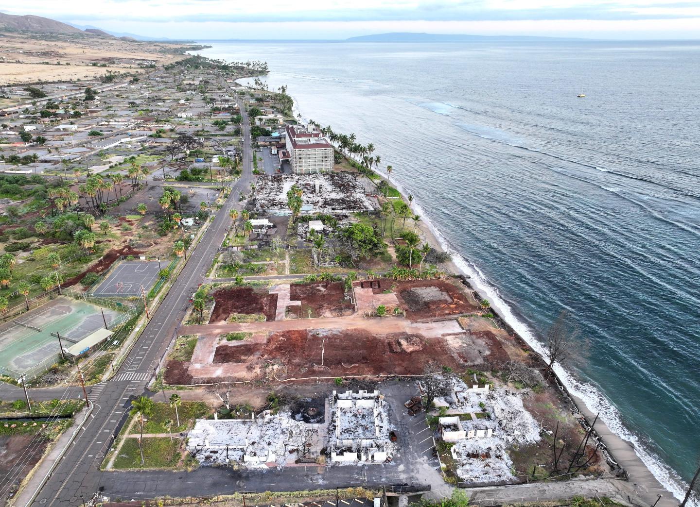 An aerial view of destroyed and cleared properties with vegetation regrowth on year after the Lahaina wildfire