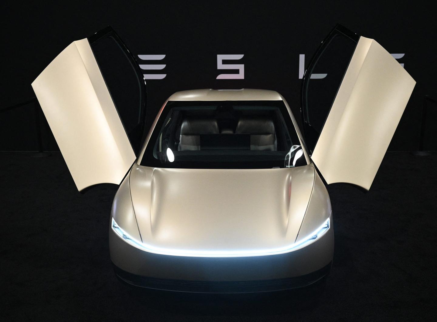 Tesla Robotaxi