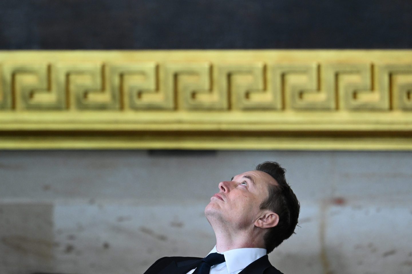 Elon Musk looks upwards at the U.S. Capitol Rotunda.