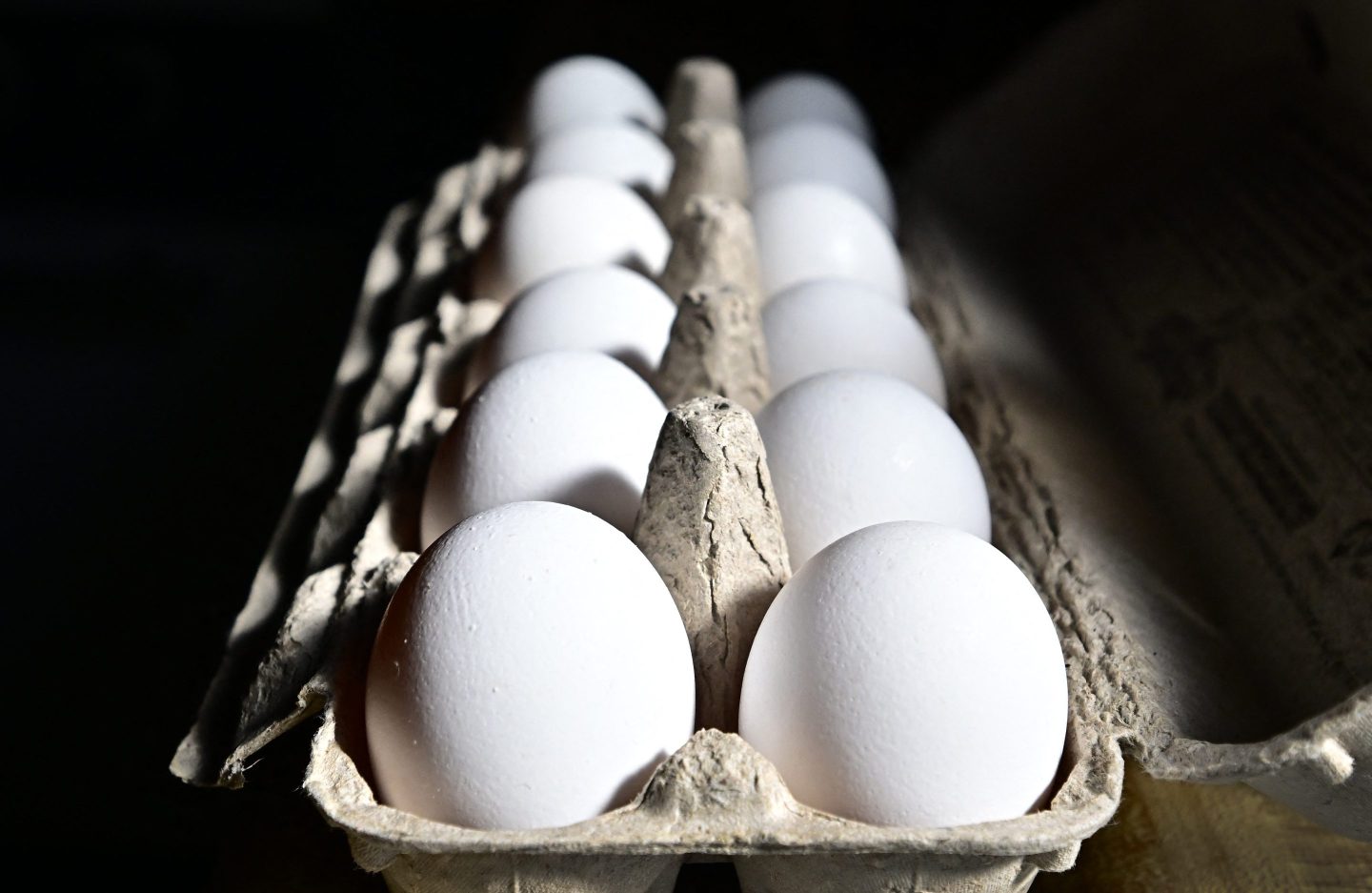 A dozen eggs are seen in a carton