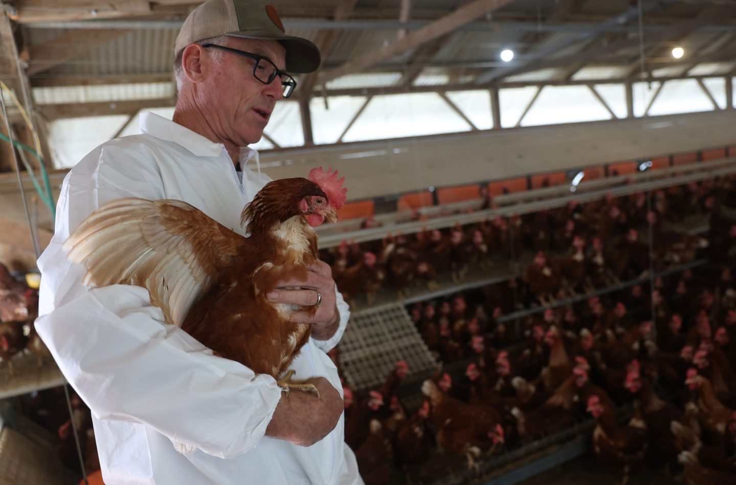 A man in a white coal holds a chicken while standing in a chicken barn.