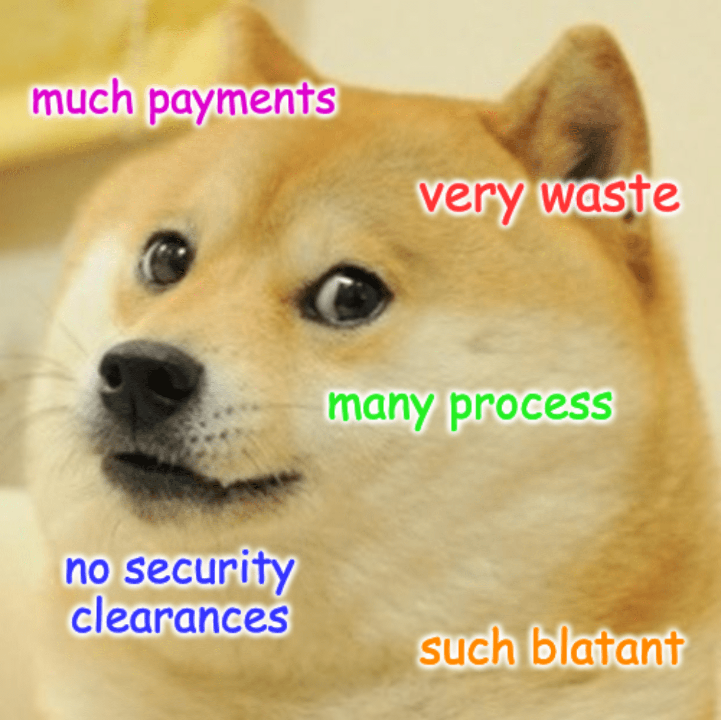 A "doge" meme with the text overlay "much payments, "very waste," "many process," "no security clearances," "such blatant"