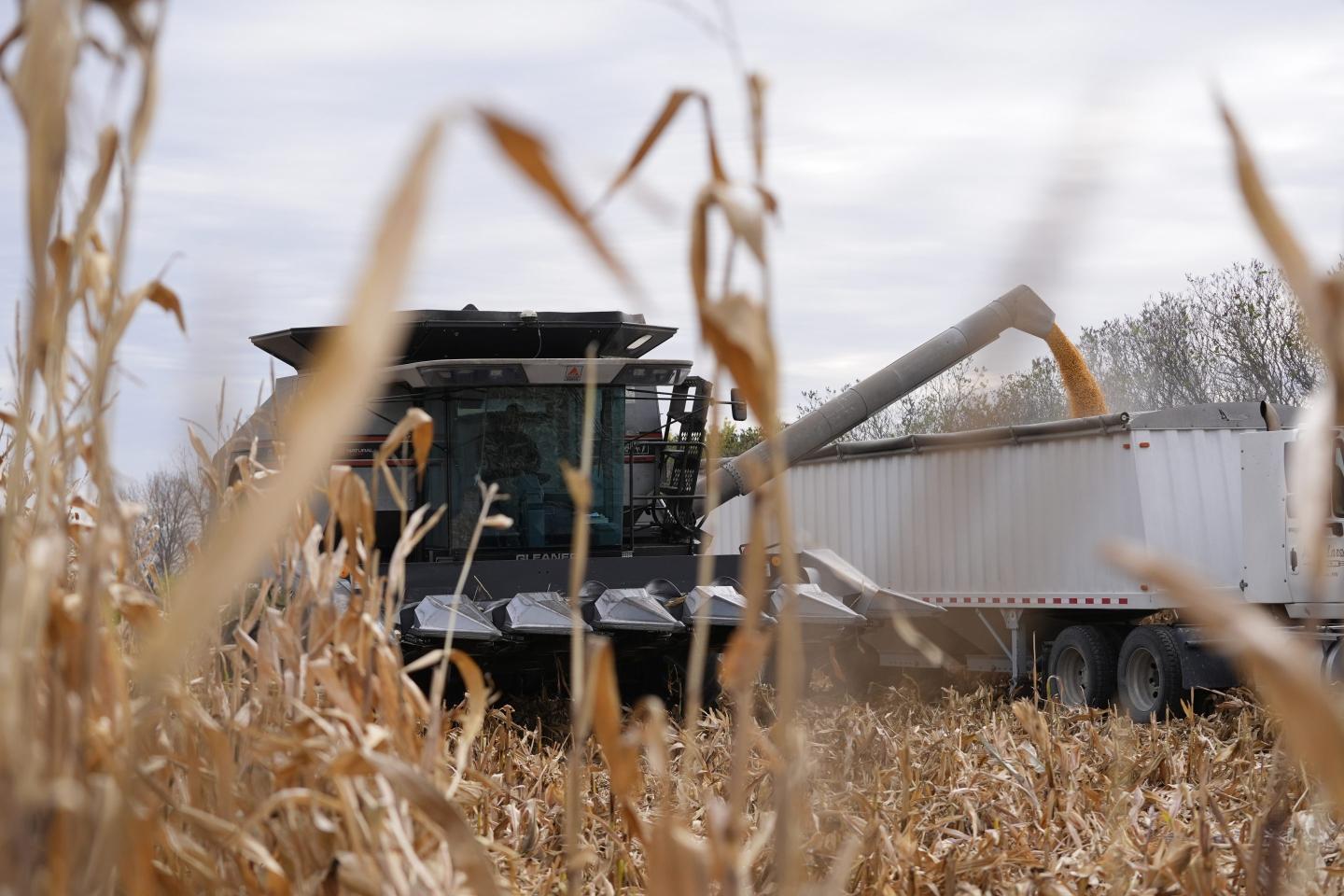 Trump asks farmers and consumers to ‘bear with me’ as they brace for unpredictable tariff hit to their wallets