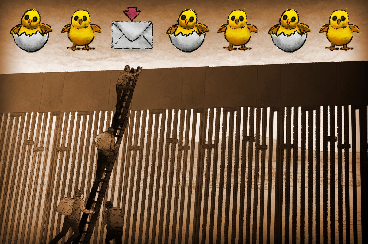 People-smugglers are using TikTok videos piled with emojis and images of thick wads of cash to market services to dodge Trump border crackdown