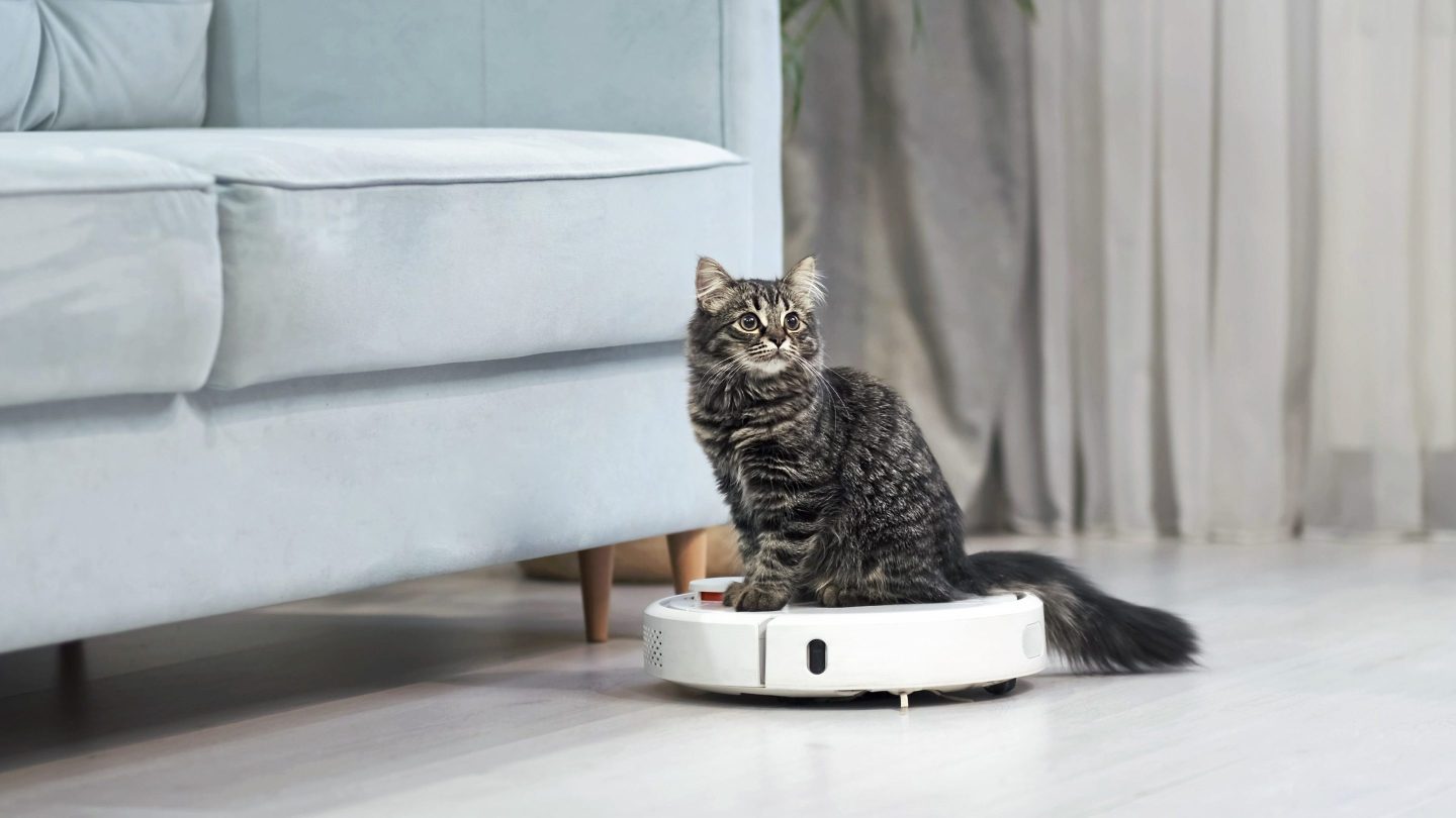 After millions of cat rides, Roomba maker iRobot may be closing shop.