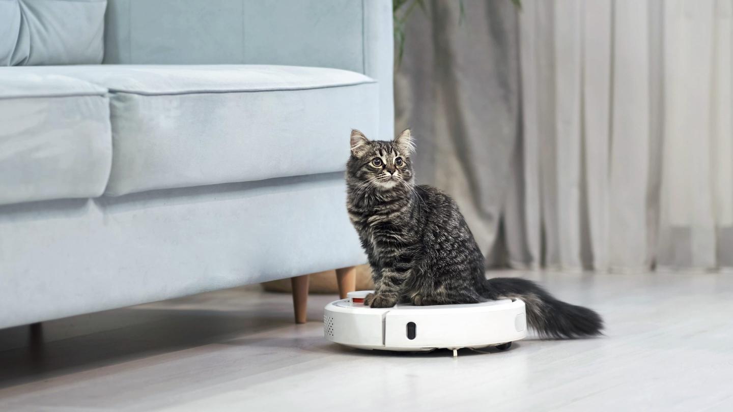 Roomba creator iRobot was once courted by Amazon for a vacuum revolution. Now, it might go out of business
