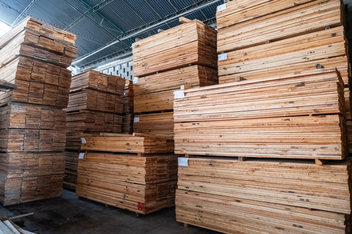 Trump takes actions to increase lumber supplies and curb wood imports
