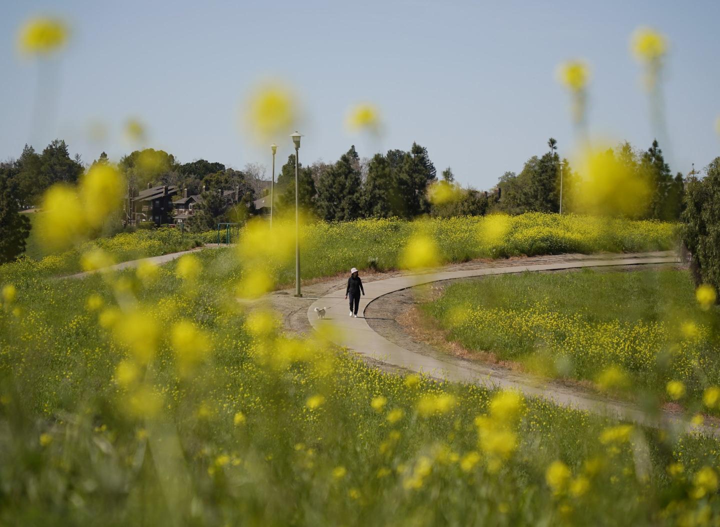America’s happiest city: Over 1,000 acres of parks, average temperatures in the 60s, and a bustling economy