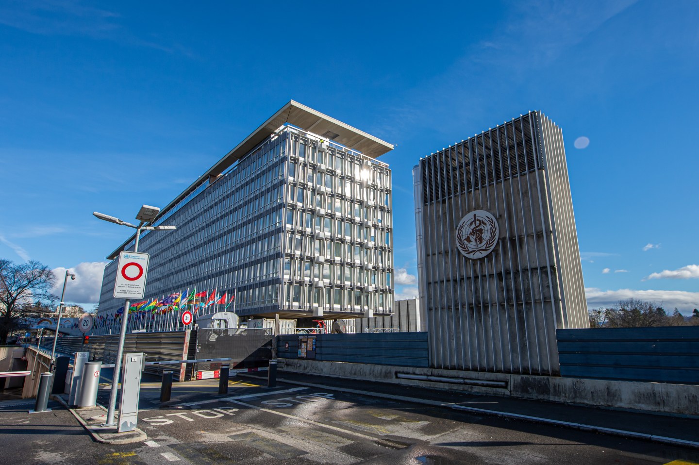 The World Health Organization is asking some employees to consider early retirement as the United Nations agency seeks to cut costs.