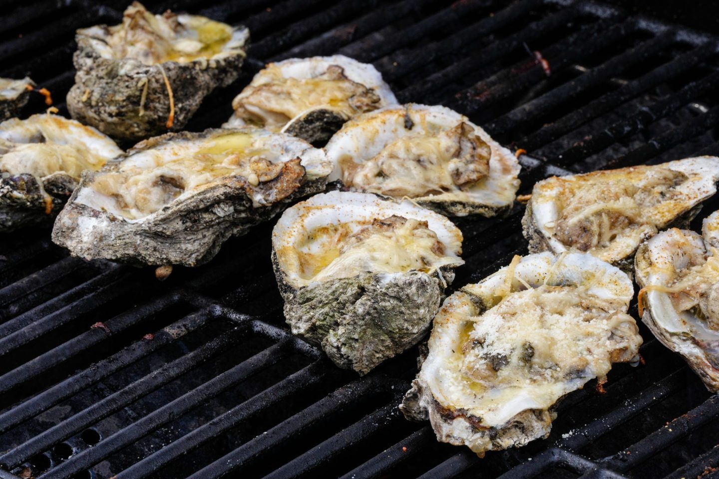 Chargrilled oysters