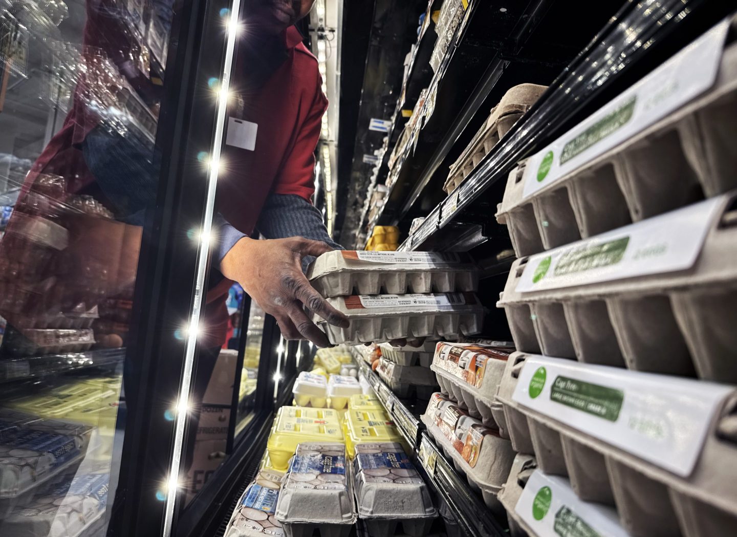 Hands reach inside an egg case