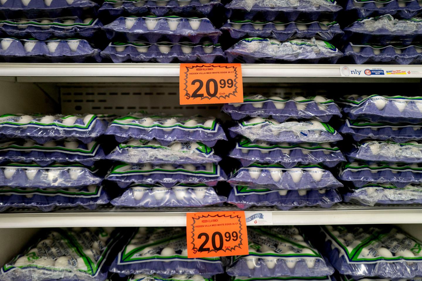 Justice Department opens antitrust probe into egg price spike
