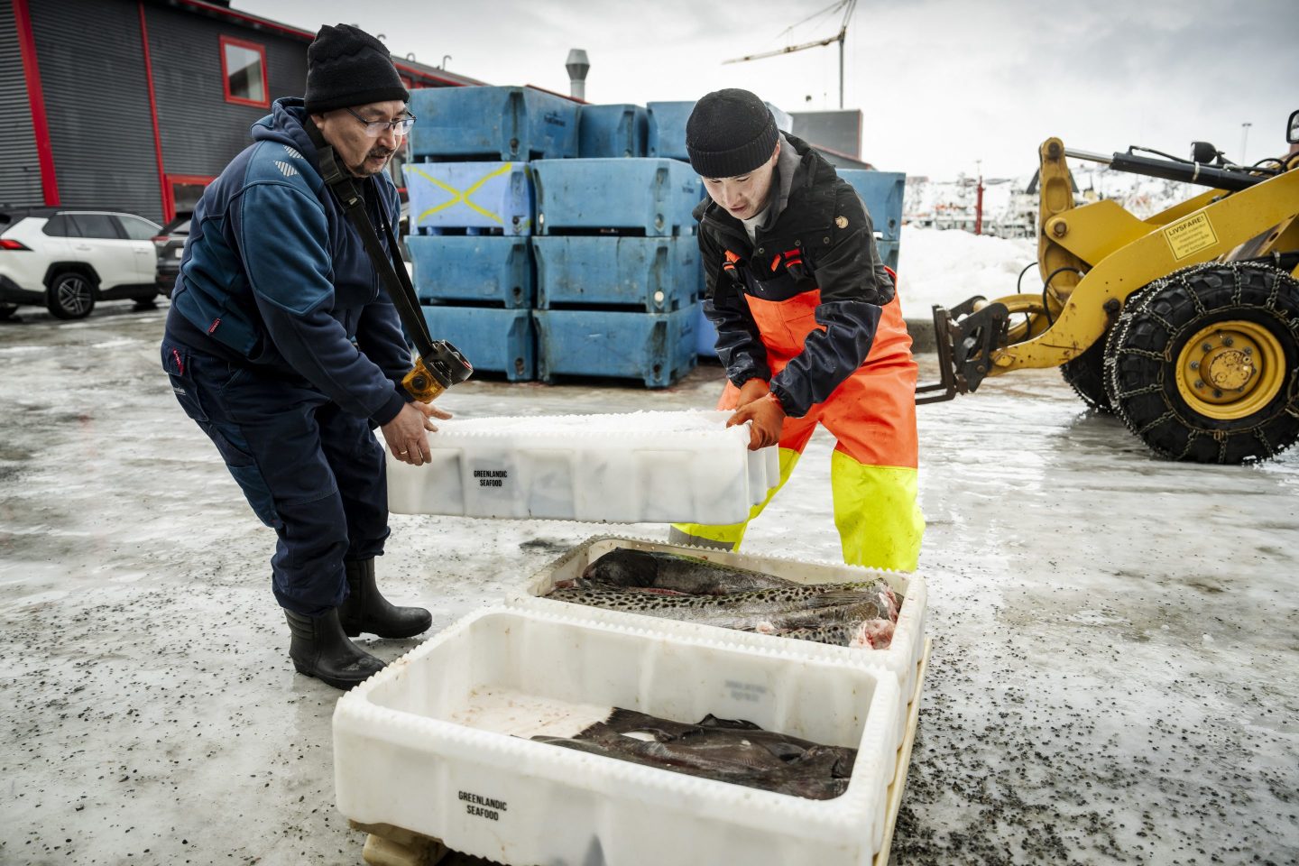24-year-old fisherman Nukaaraq (R) packs fish after returning from 5 days at sea at Royal Greenland's processing facility in Nuuk, Greenland, on March 10, 2025 on the eve of legislative elections.