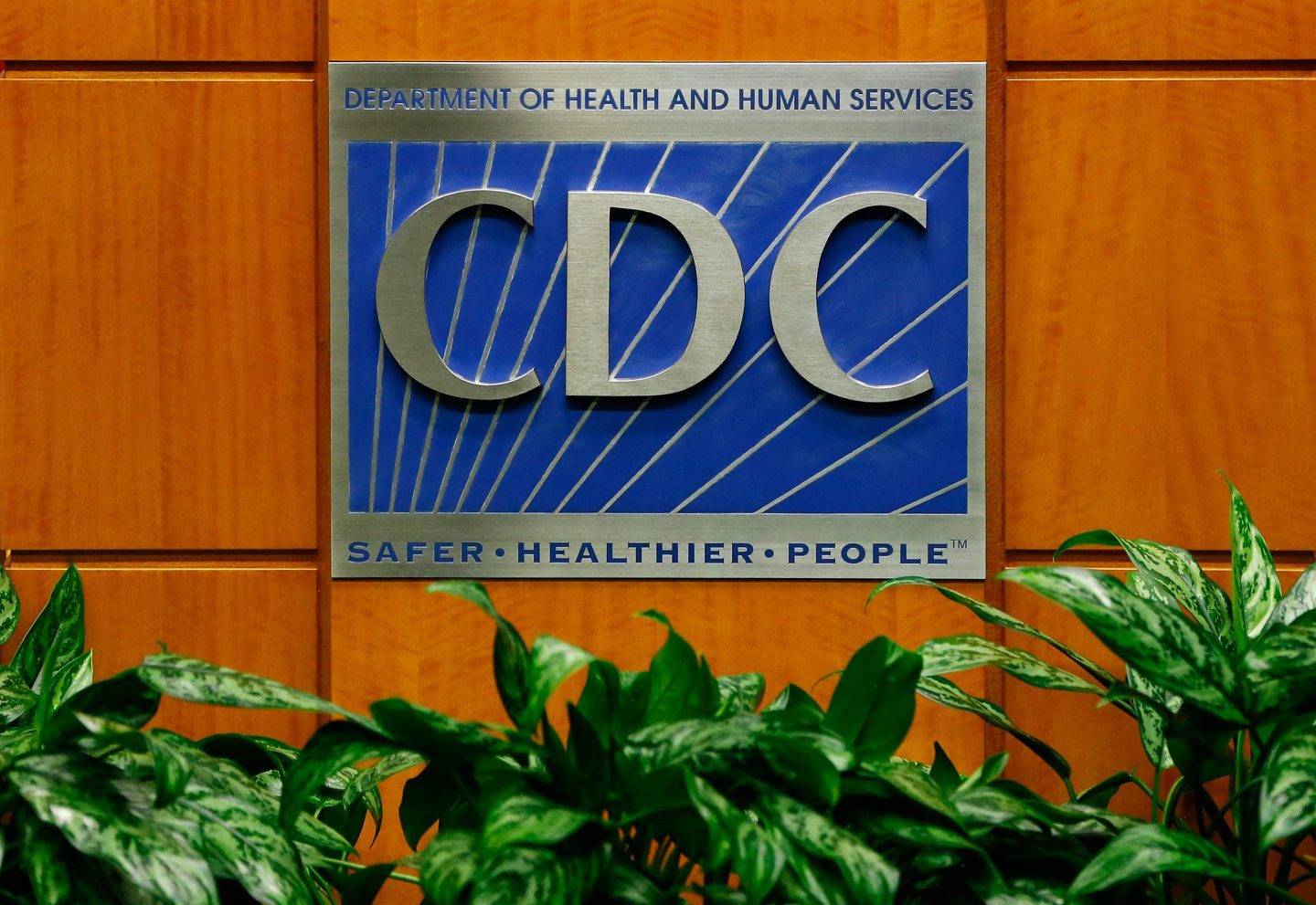 CDC office entrance with a plant