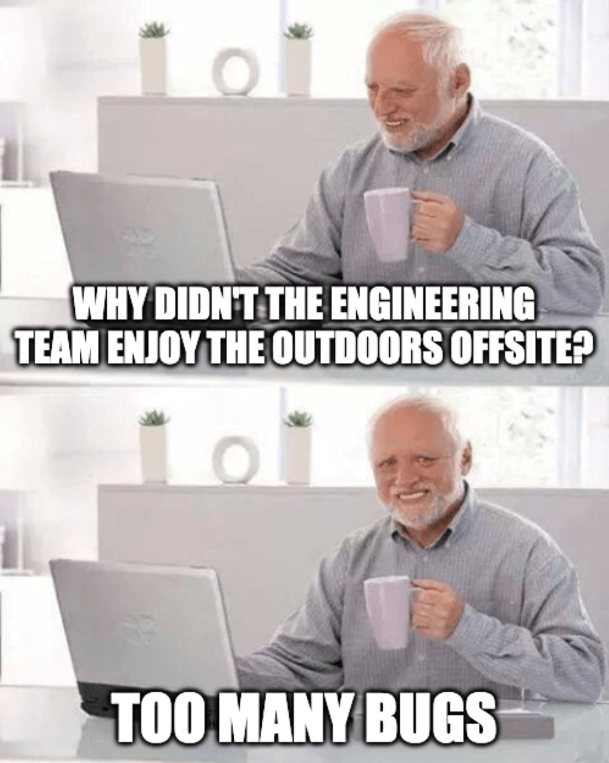 A "Hide the Pain Harold" meme with the joke: "Why didn't the engineering team enjoy the outdoors offsite? Too many bugs"