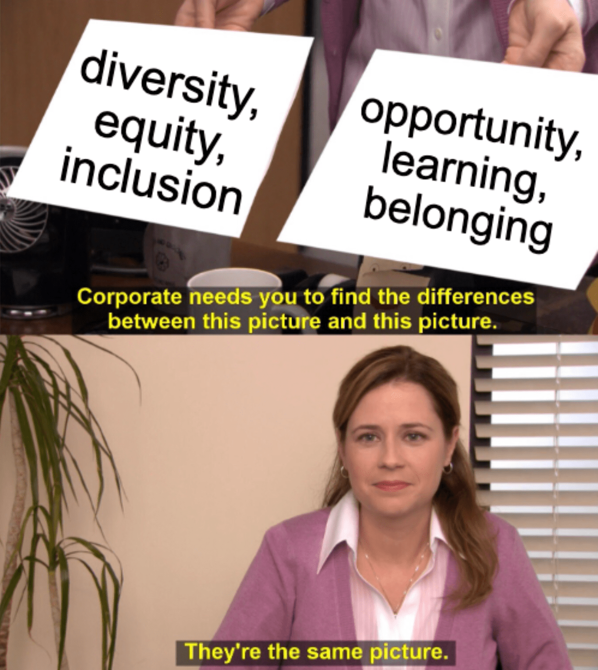 A meme of Pam from "The Office" looking at two pictures, one saying "diversity, equity, inclusion" and the other saying "opportunity, learning, belonging," and saying that they're the same picture.