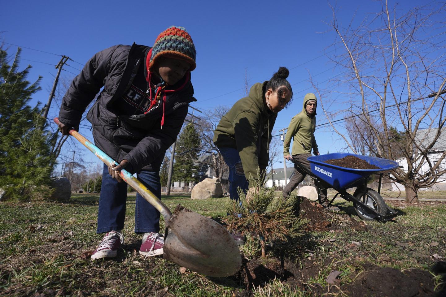 Detroit’s eastside is being turned into a forest of sequoias native to California—the world’s largest trees
