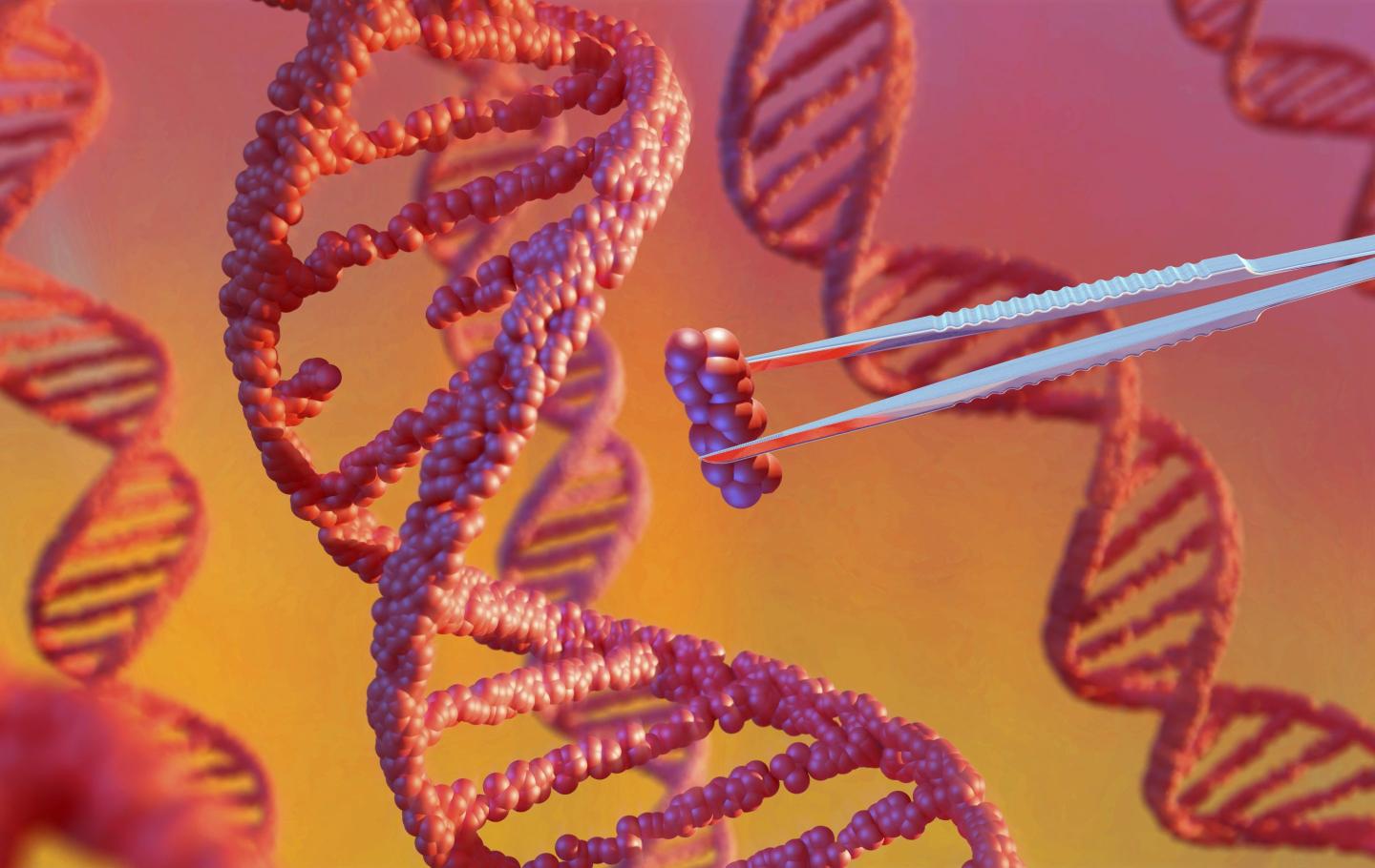 Illustration of a large DNA helix and a pair of tweezers holding a small DNA segment that is about to be inserted into the helix.