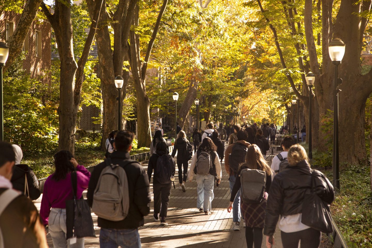 Students at the University of Pennsylvania.