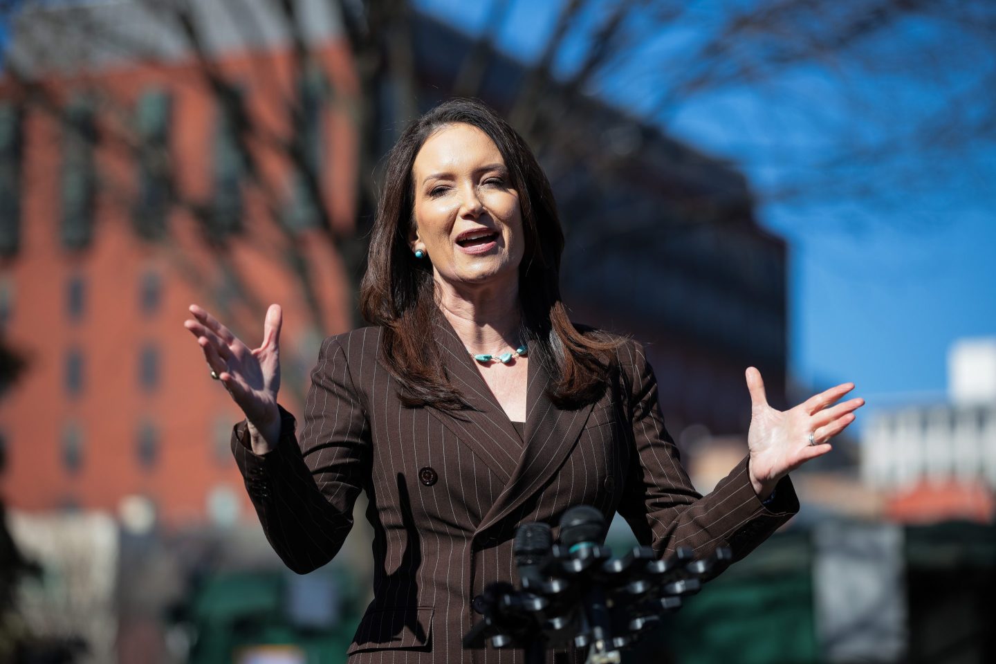 Agriculture Secretary Brooke Rollins speaks outside the White House