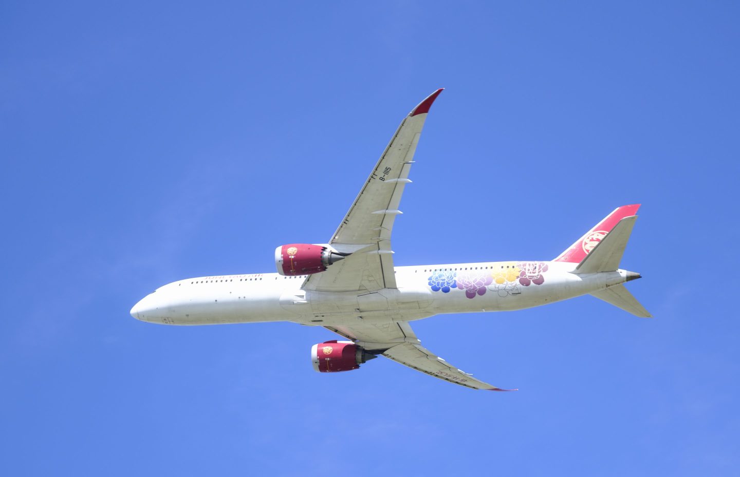 Plane flying in the sky