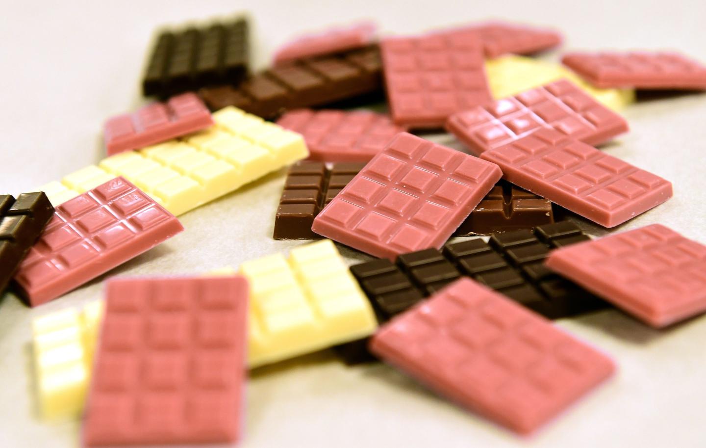 Cocoa crunch for world’s top chocolate supplier Barry Callebaut as ‘perfect storm’ puts profits and shares in freefall