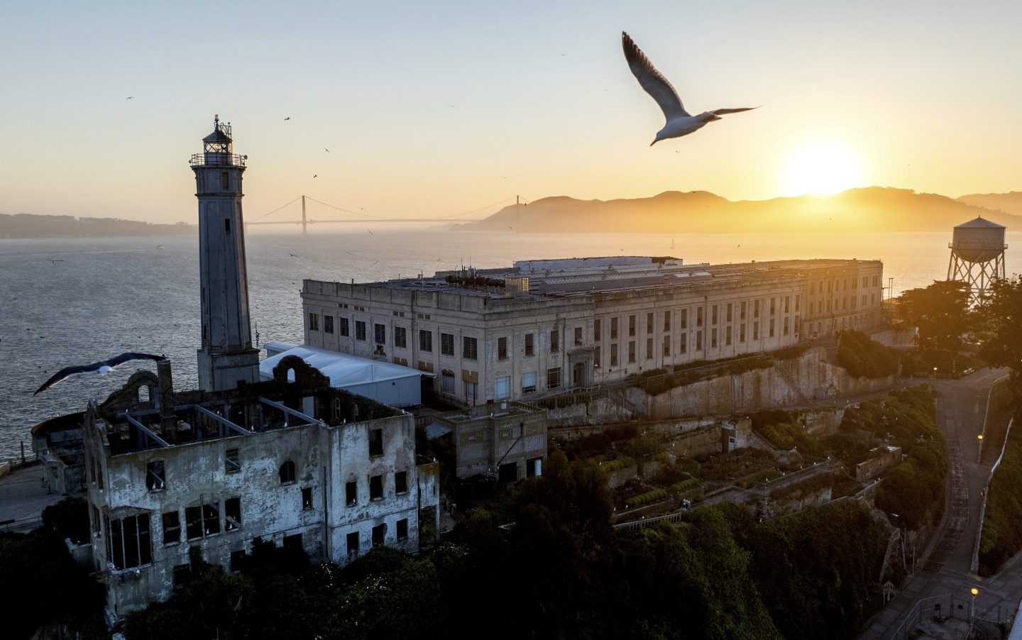 A bird flies above Alcatraz Island on May 4, 2025, in the San Francisco Bay, Calif.