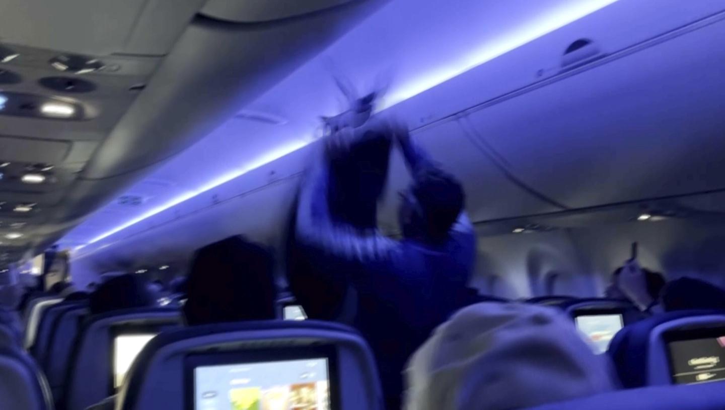 2 pigeons sneak onto Delta Air Lines plane, delaying flight twice